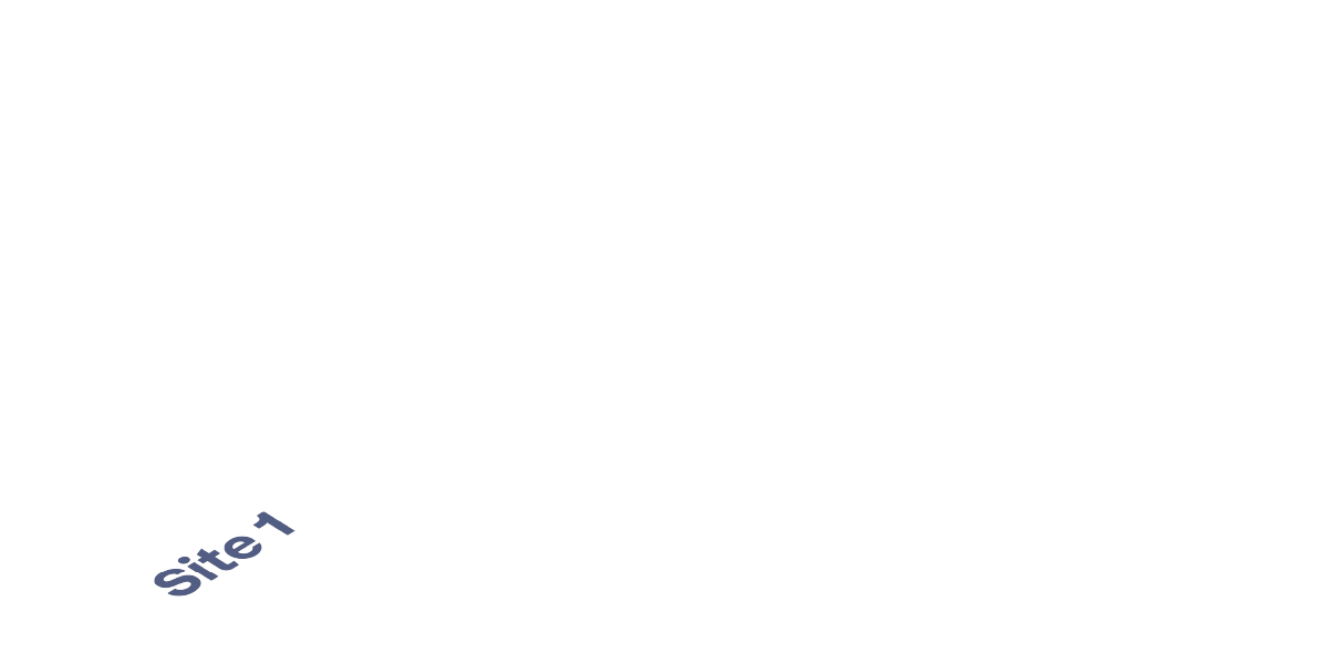 site 1
